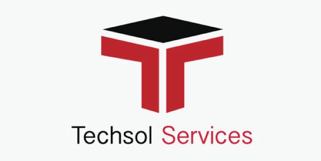 41.TECHSOL SERVICES