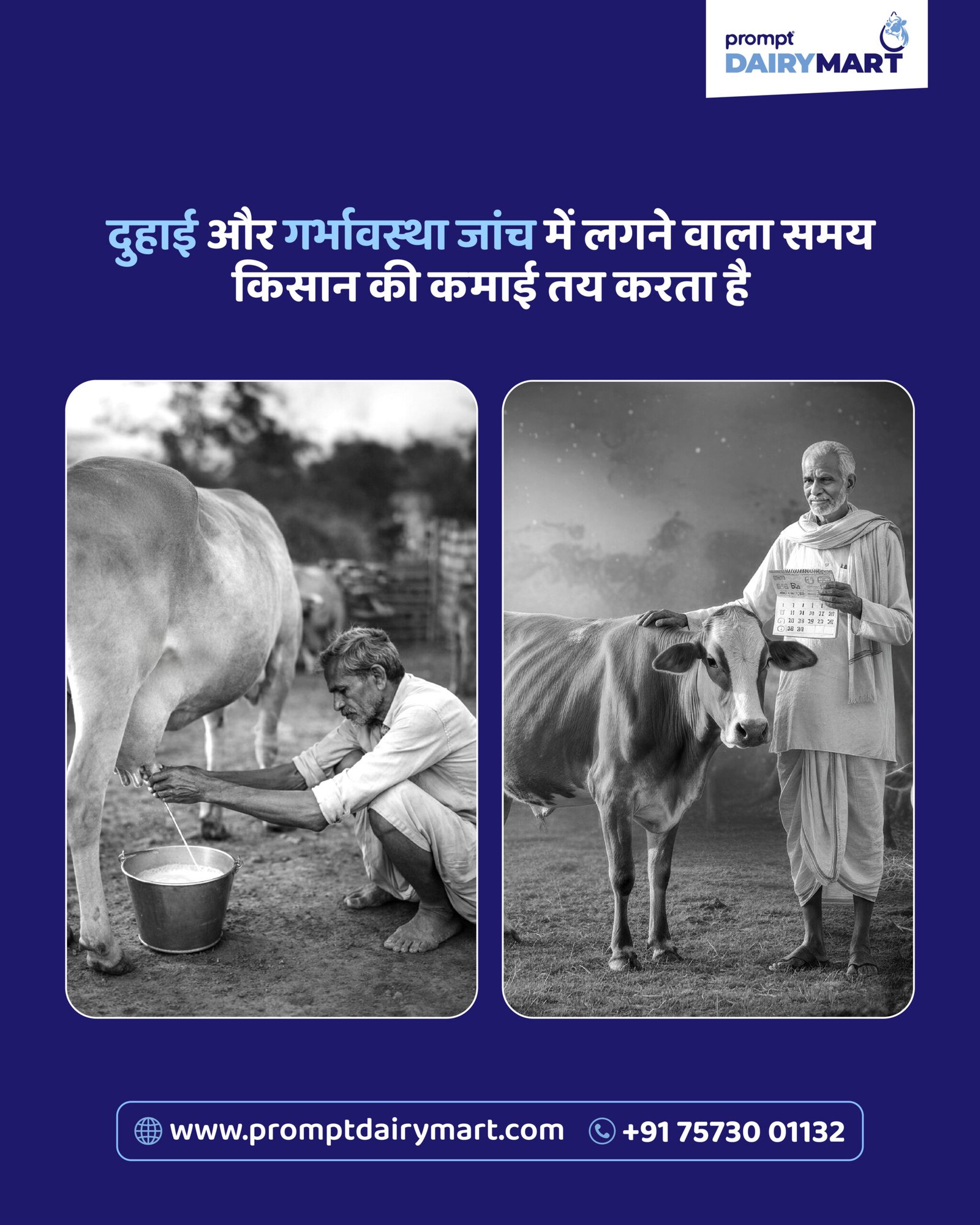 Prompt Dairy Mart product portfolio