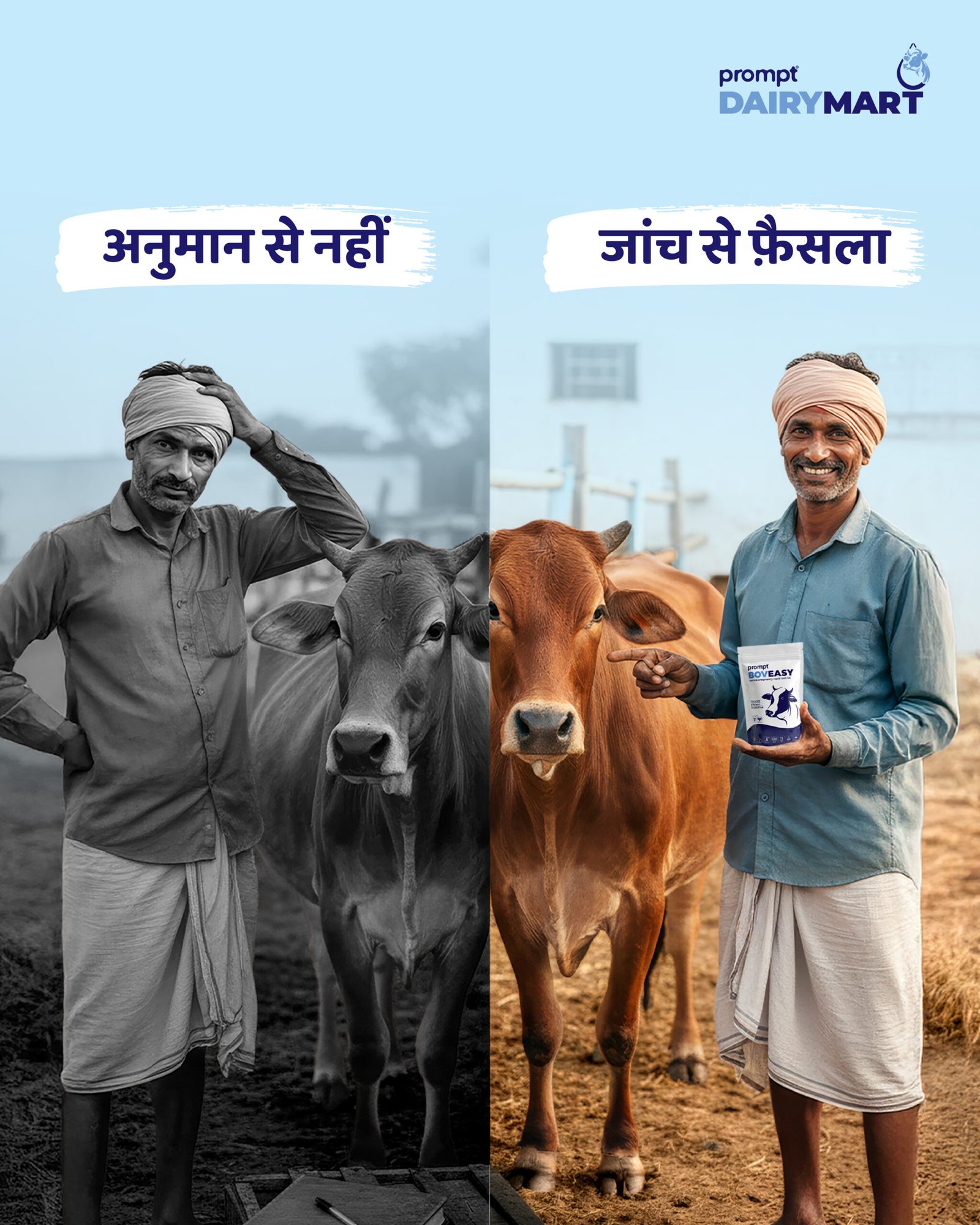 Prompt Dairy Mart result visual