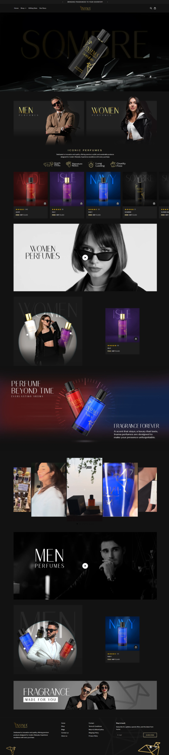 Shopify Store Development project image